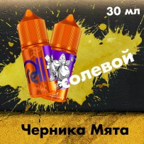Жидкость Rell Orange Hard - Blueberry Mint (Черника Мята) 30 мл (20 мг)
