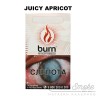 Табак Burn - Juicy Apricot (Спелый сладкий абрикос) 100 гр Табак Burn - Juicy Apricot (Спелый сладкий абрикос) 100 гр