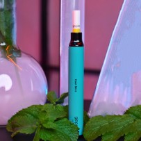 Одноразовая электронная сигарета Gippro Neo СТИК - Cool Mint (Освежающая Мята)