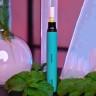 Одноразовая электронная сигарета Gippro Neo СТИК - Cool Mint (Освежающая Мята)